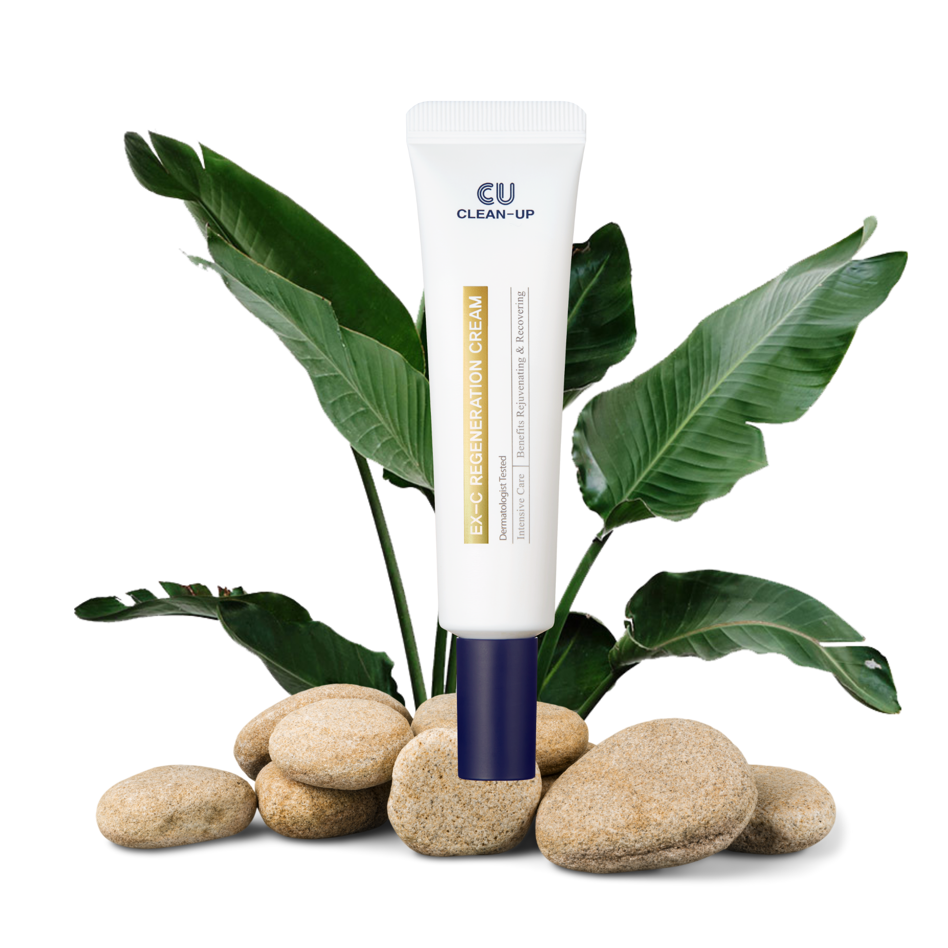 Cuskin regeneruojamasis kremas su keramidais sudetis | Jovi Esthetic