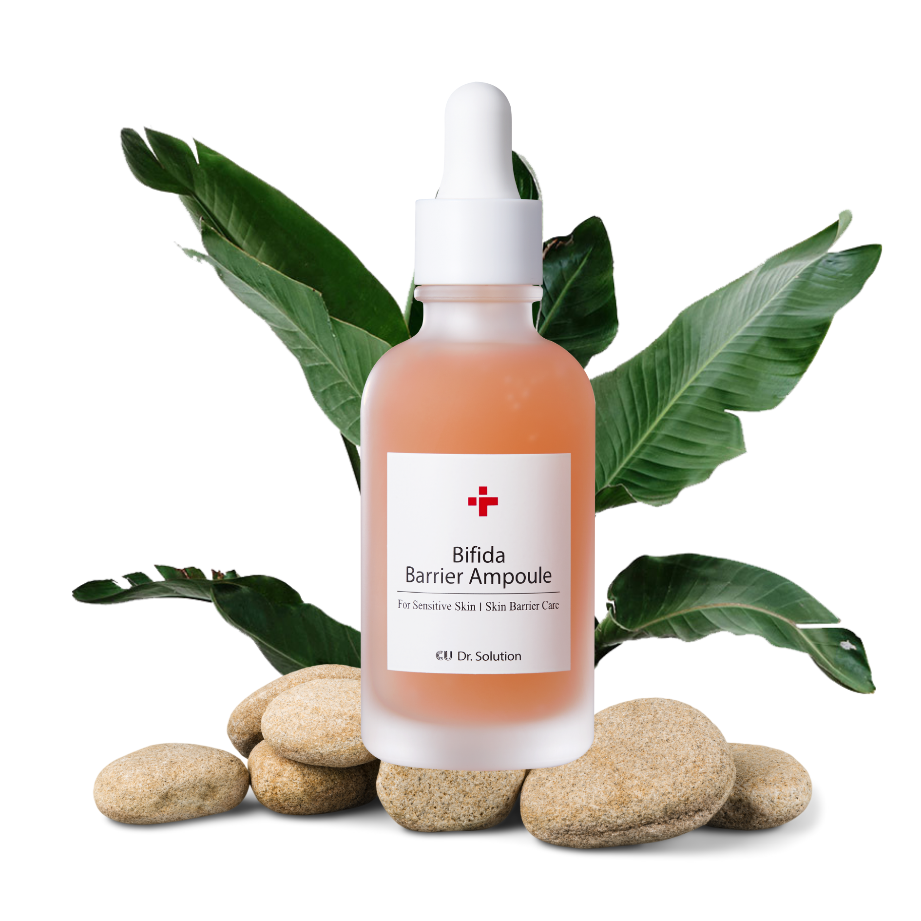 Cuskin serumas su bifidobakterijomis sudetis | Jovi Esthetic