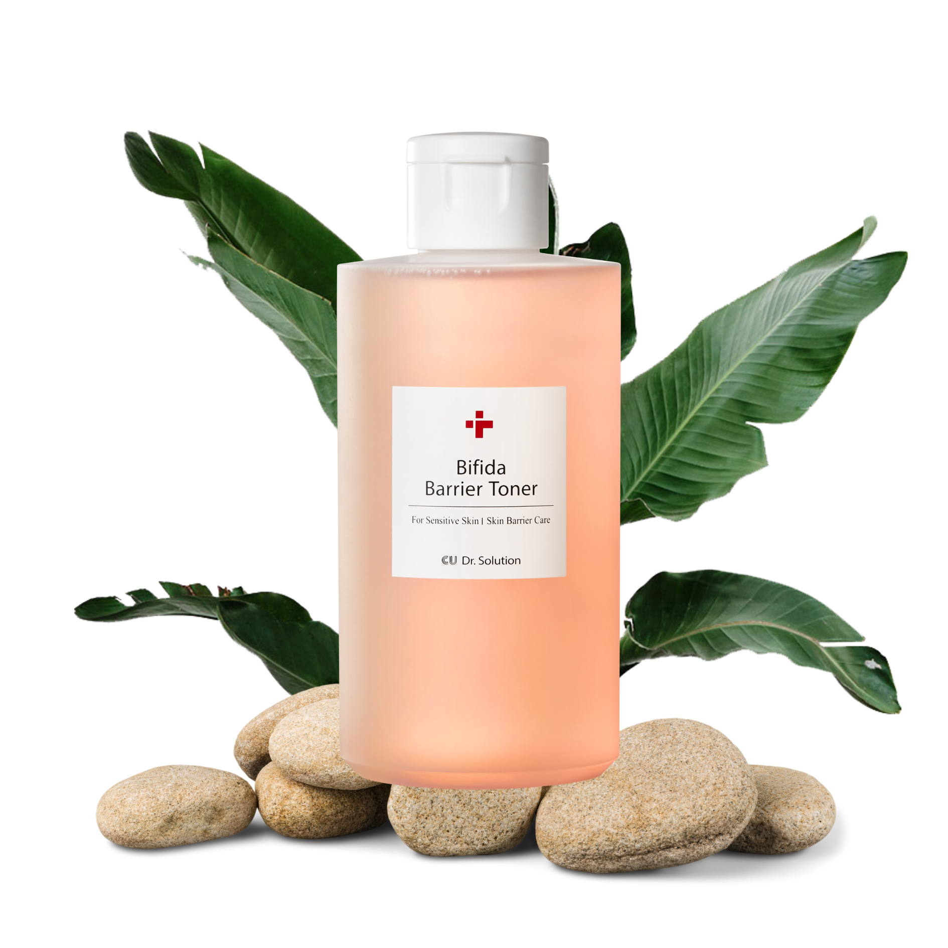 Cuskin veido tonikas su bifidobakterijomis sudetis | Jovi Esthetic