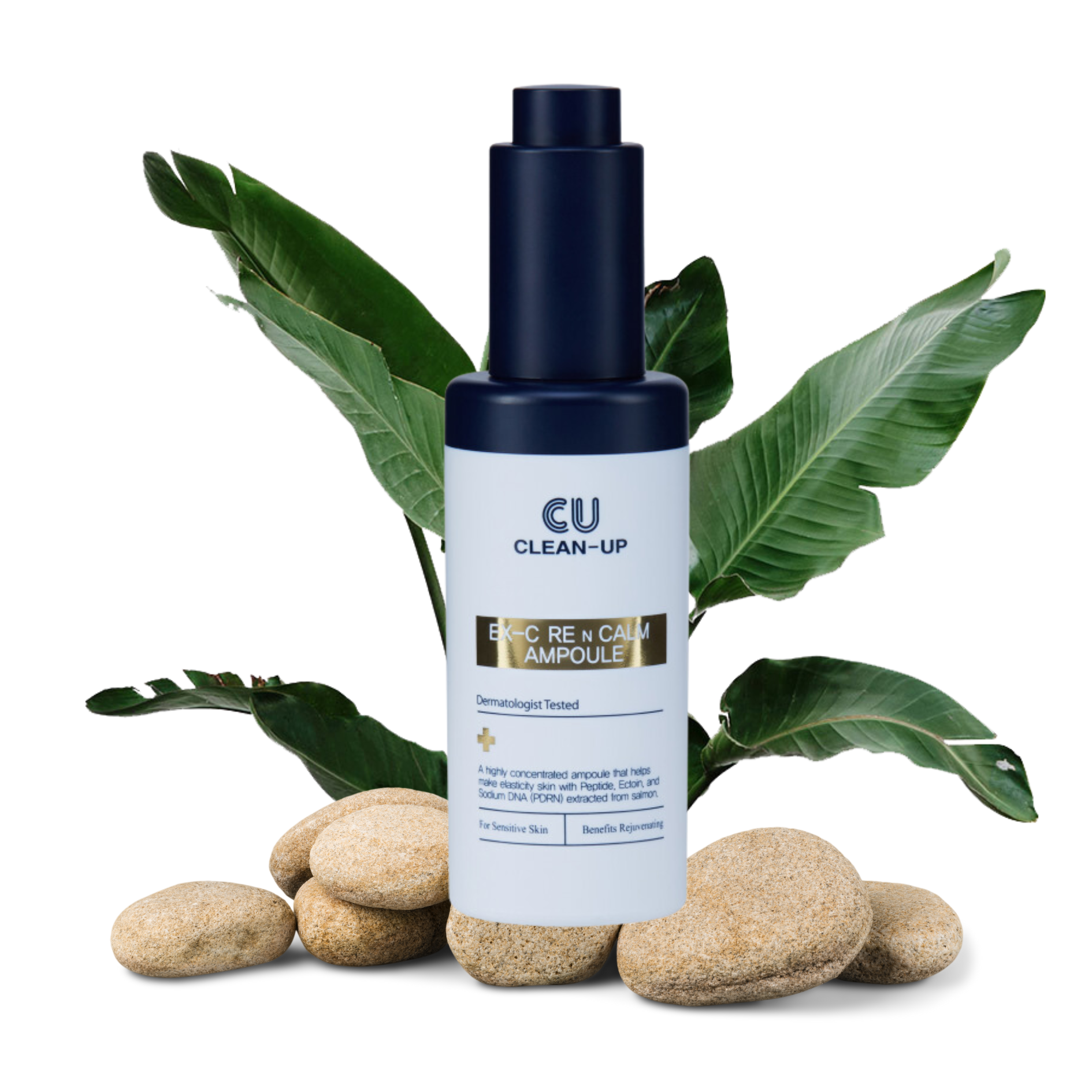 Cuskin liftinguojantis serumas sudetis | Jovi Esthetic